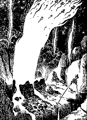 ...�����  ������ ���� �������� ������, � �� ���� ��������� �������  �����