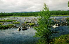 7-�� ��ઠ �� �.���-�����