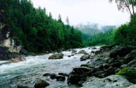 ��� �� �.�����⠩᪮�