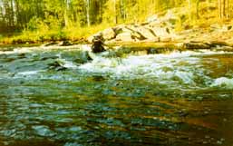 Стас на 'спорном' пороге