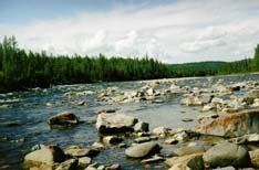 В устье р.Макар-Рузь (р.Хара-Маталоу)