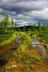 Волок на Бур-Хойлу