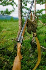 Полярная куропатка и ее друг Зауэр 16 К