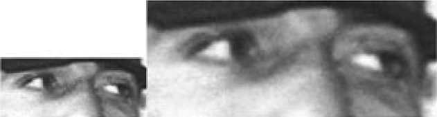 377 Psihologicheskih Voprosov Mvd 377 Psihologicheskih Voprosov Mvd