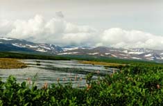 � ��������� ���� ���-�����