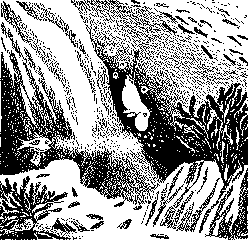 ����-������ ��� �����